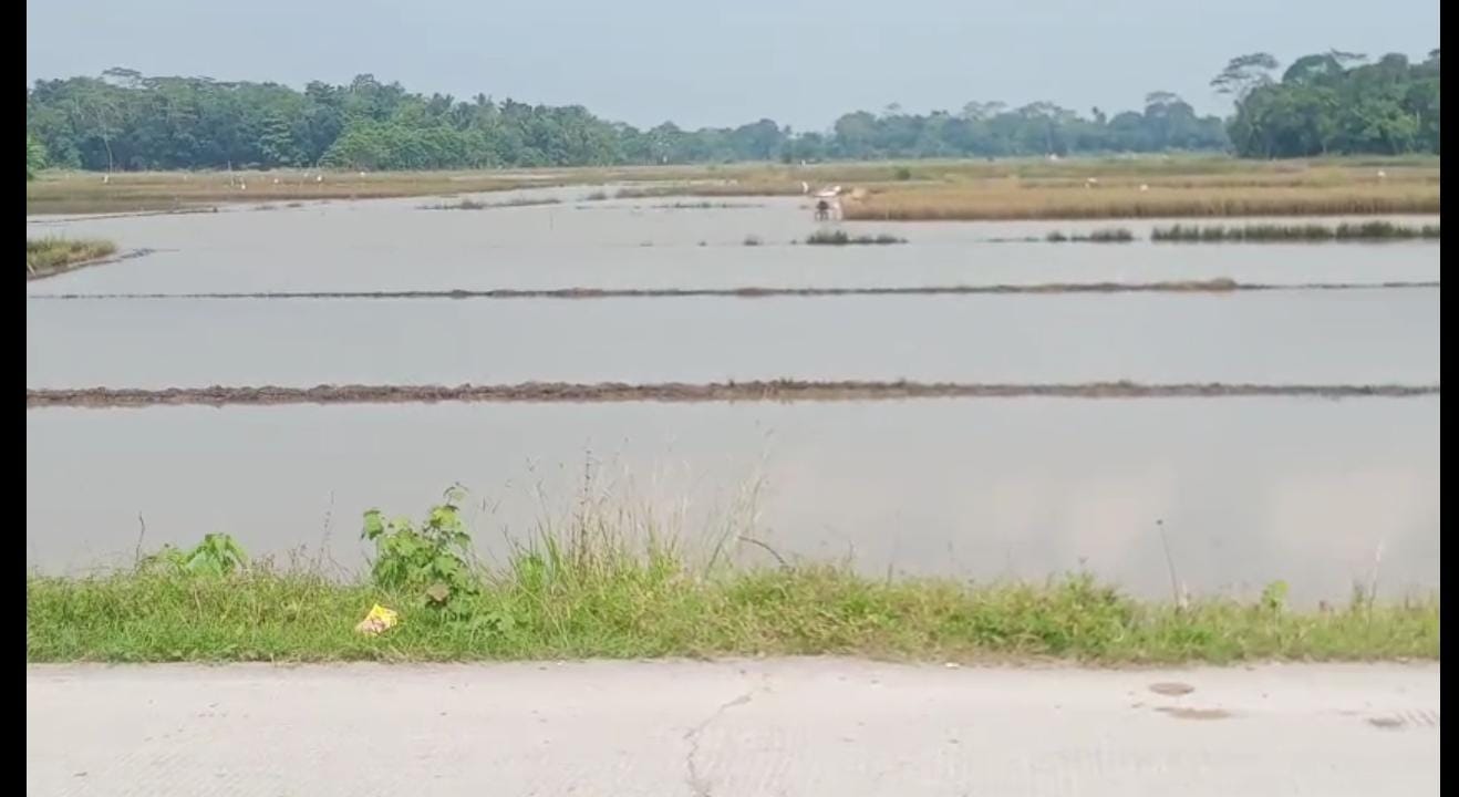 WhatsApp Image 2026-01-07 at 19.08.26